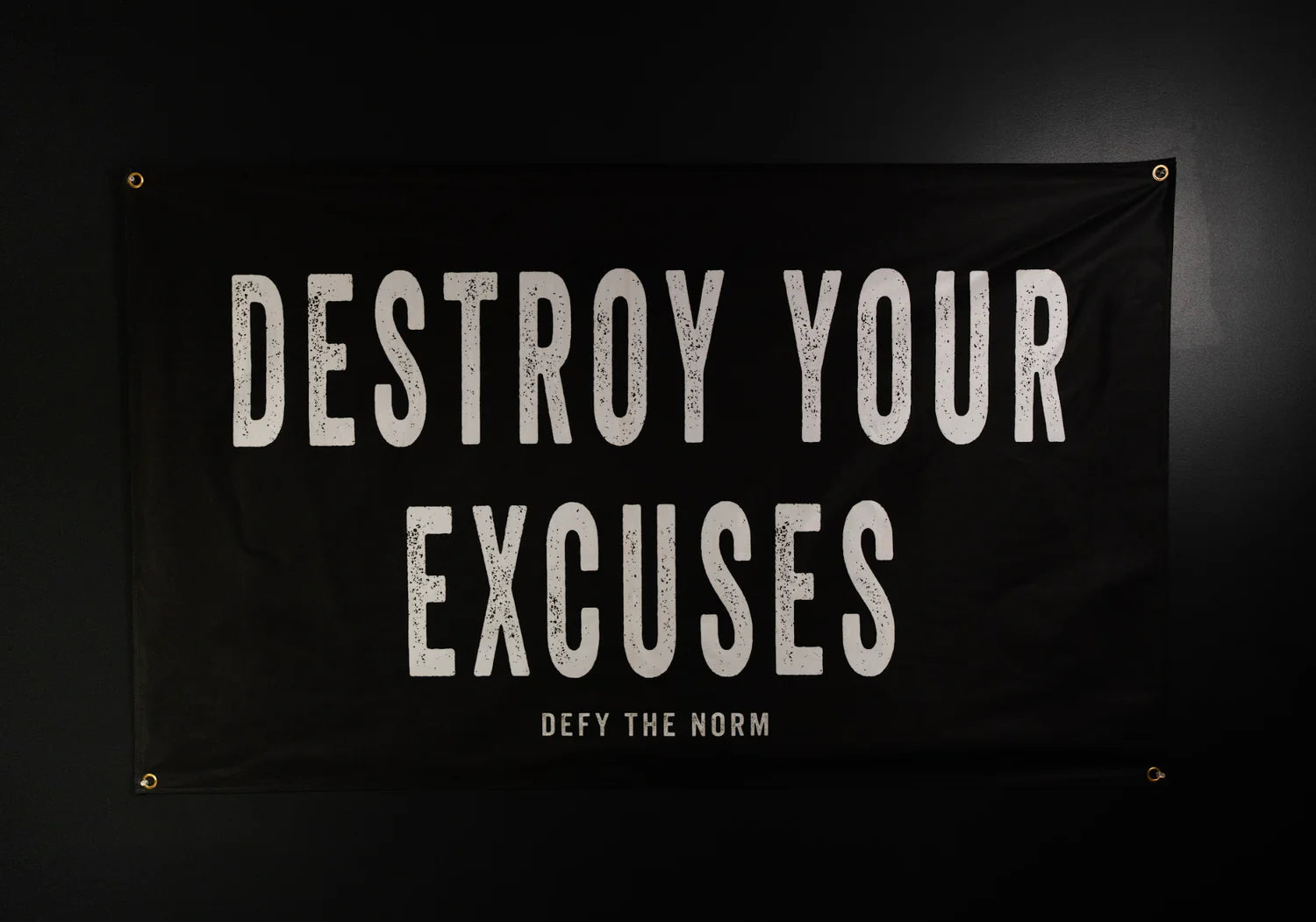 Destroy Your Excuses - We Defy The Norm