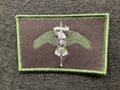 Raider Legacy Woven Patch