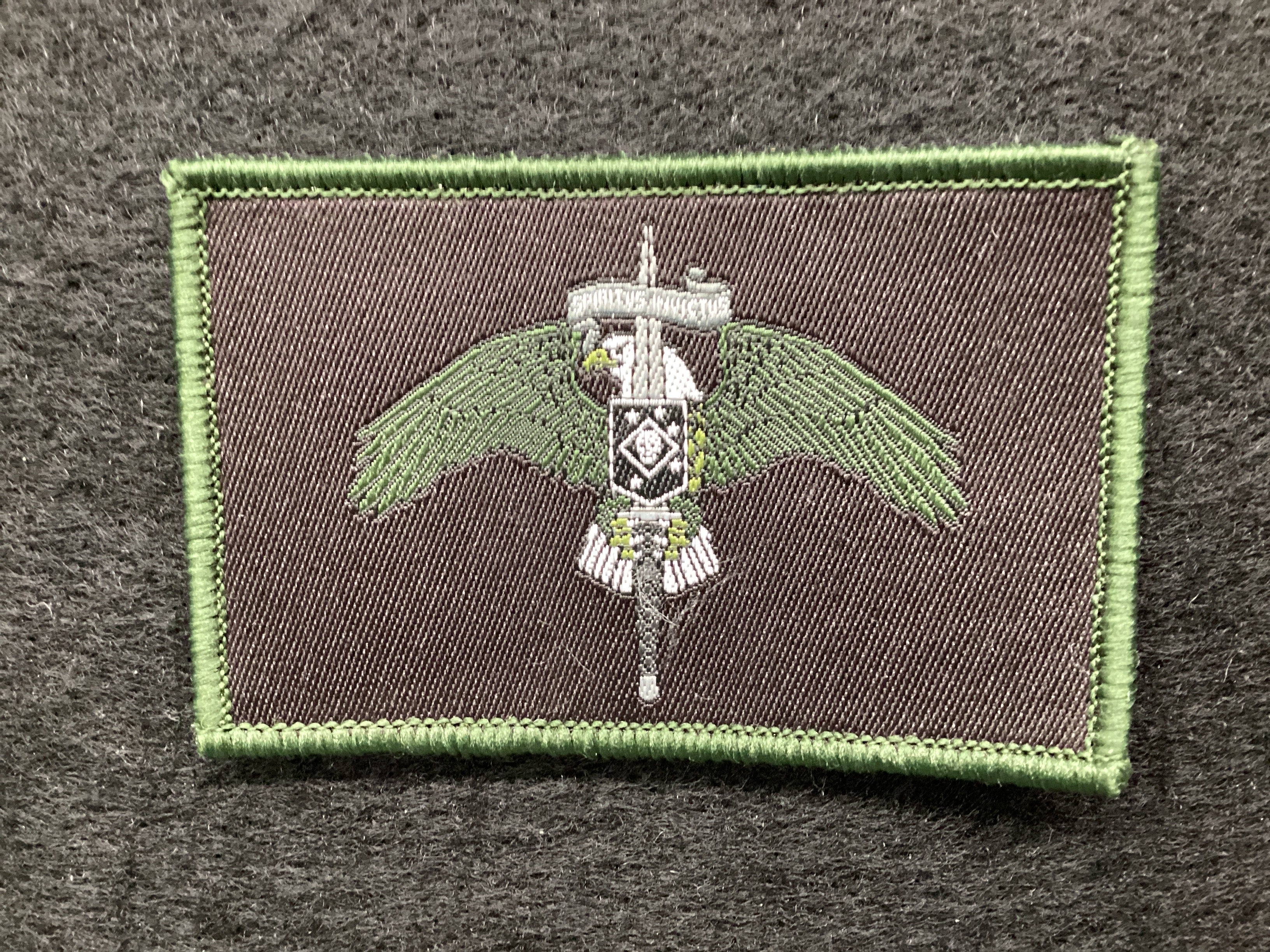 Raider Legacy Woven Patch