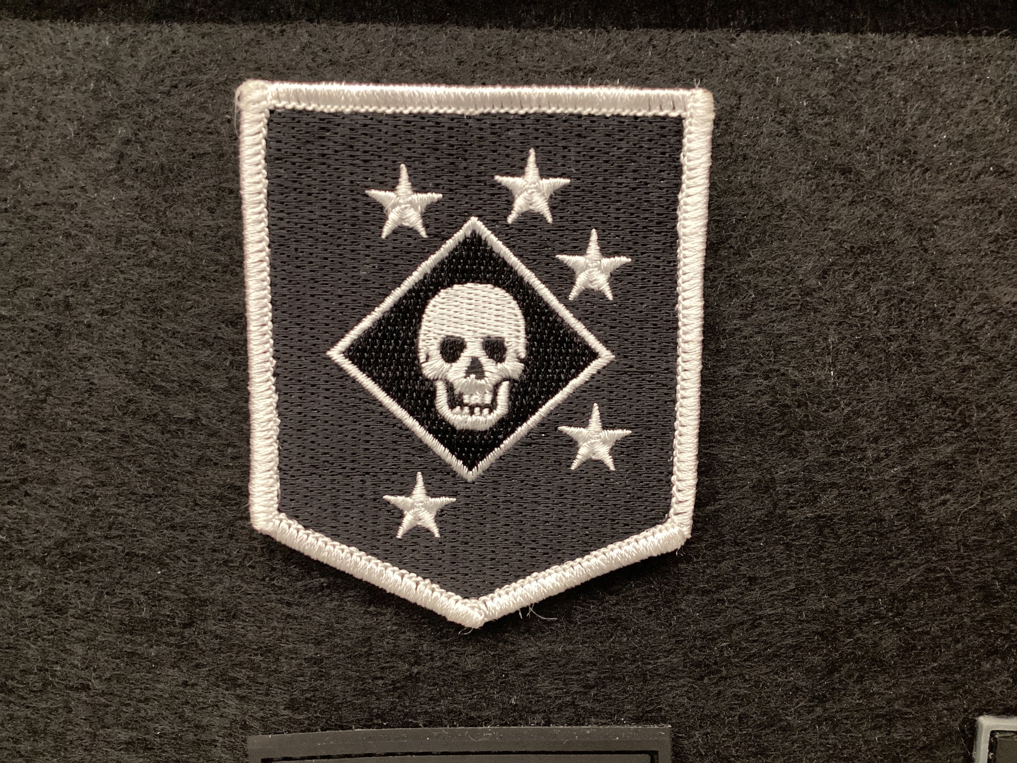 Raider Shield Patch